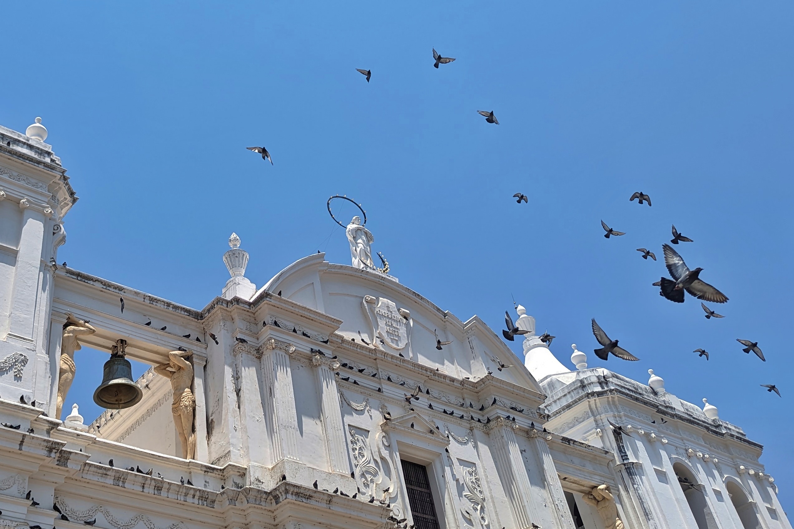 Façade de la cathédrale de León avec des oiseaux